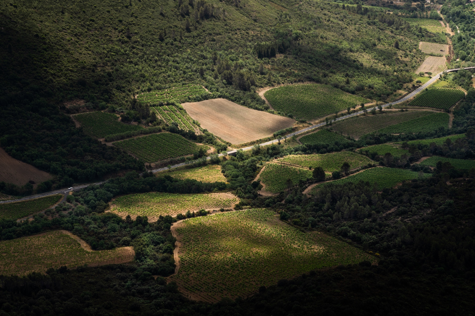 Vignes et parcelles vues du pic de Vissou