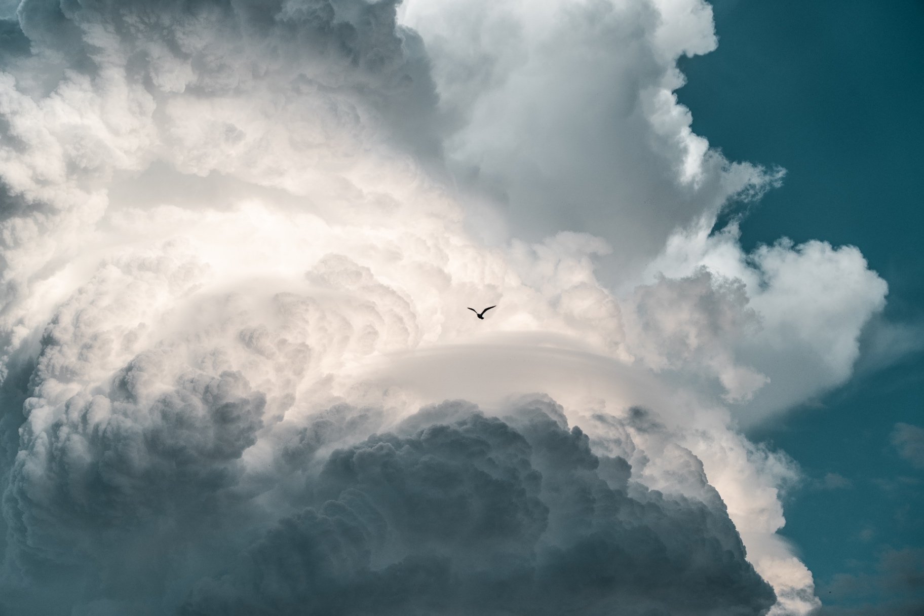 Cumulus lenticulaire et oiseau isolé dans un ciel dramatique
