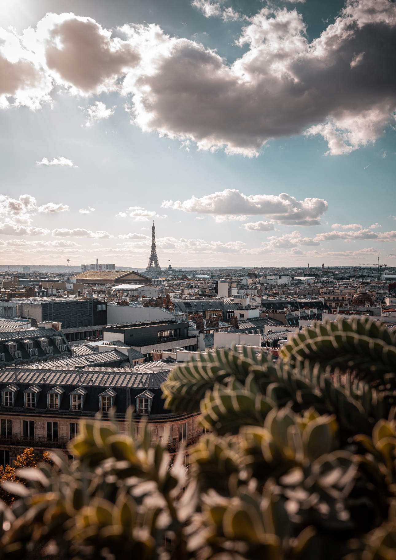 Toits de Paris et Tour Eiffel depuis les Galeries