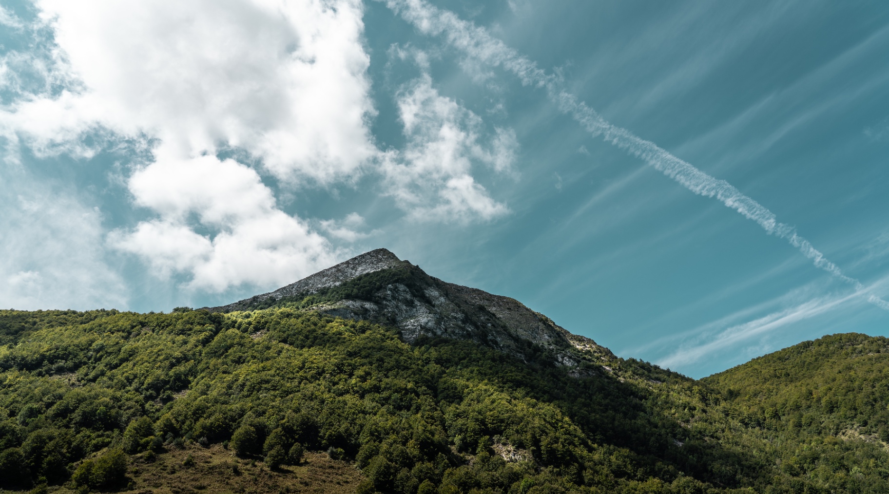 Pic minéral surgi de la forêt, traînée d'avion