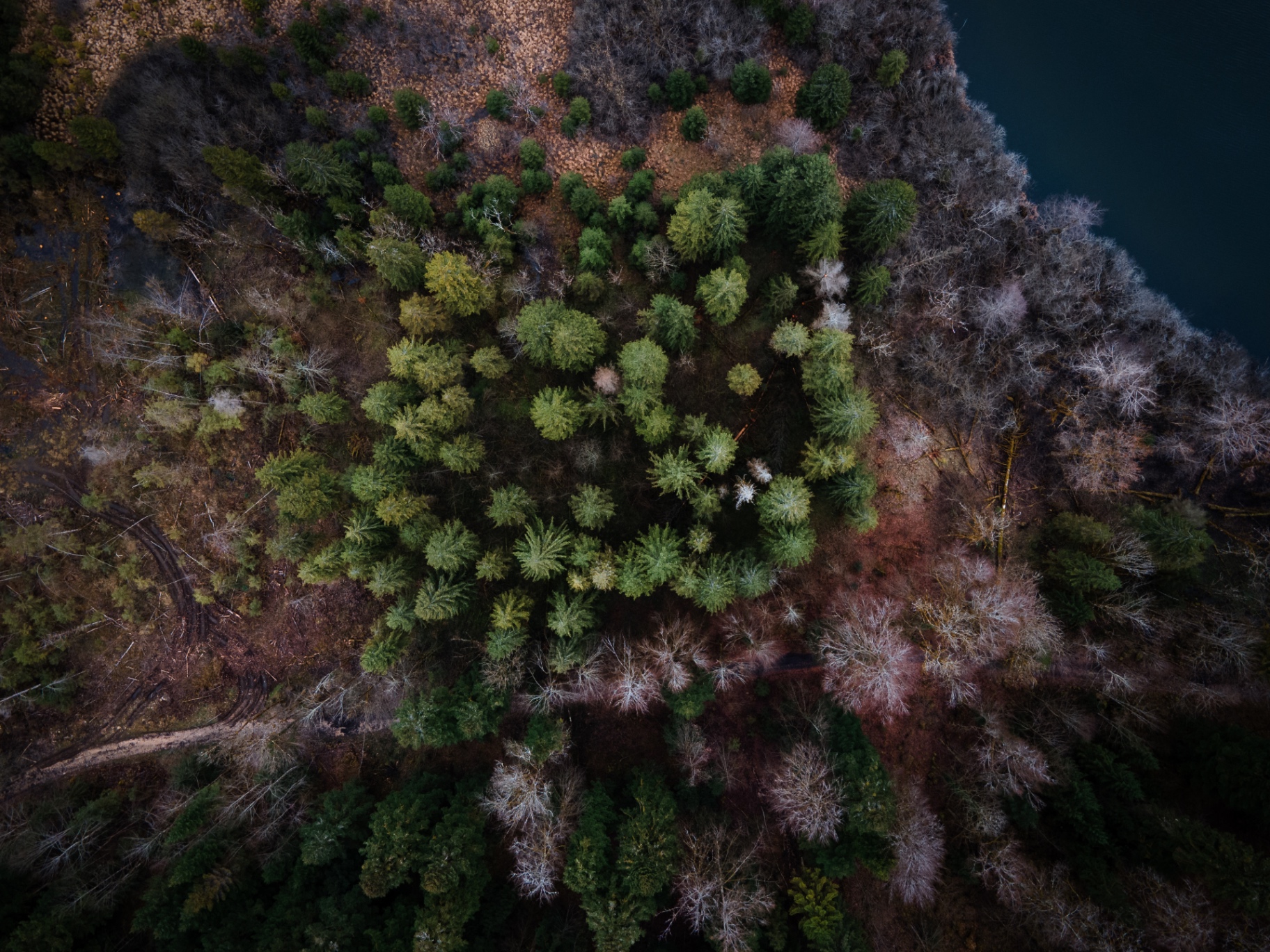 Forêt du Jura vue du ciel, lac sombre en lisière