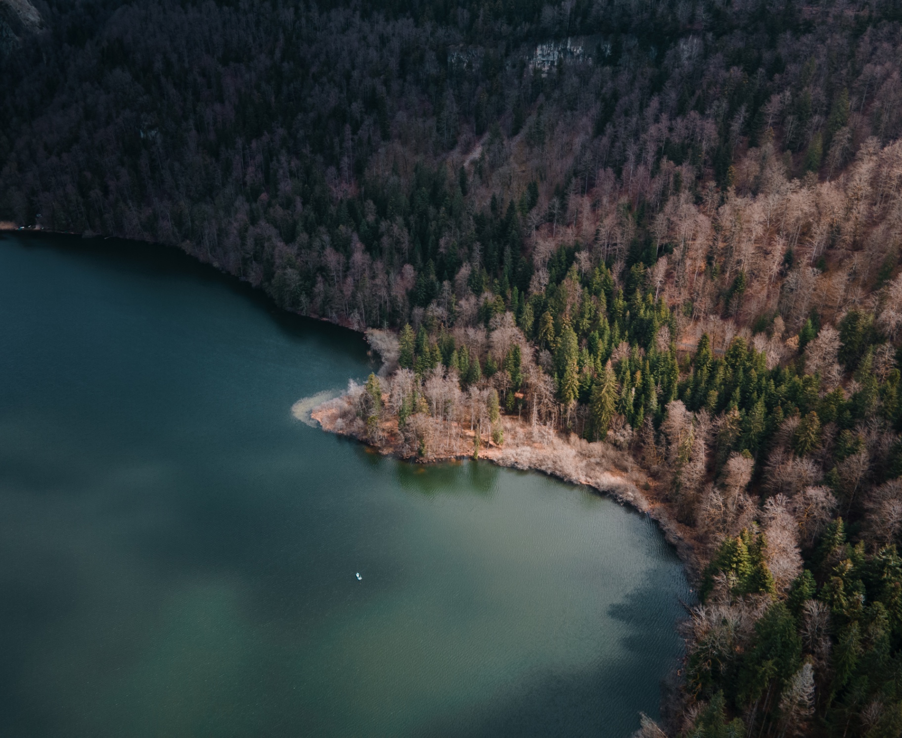 Crique boisée du Jura, forêt d'hiver au drone