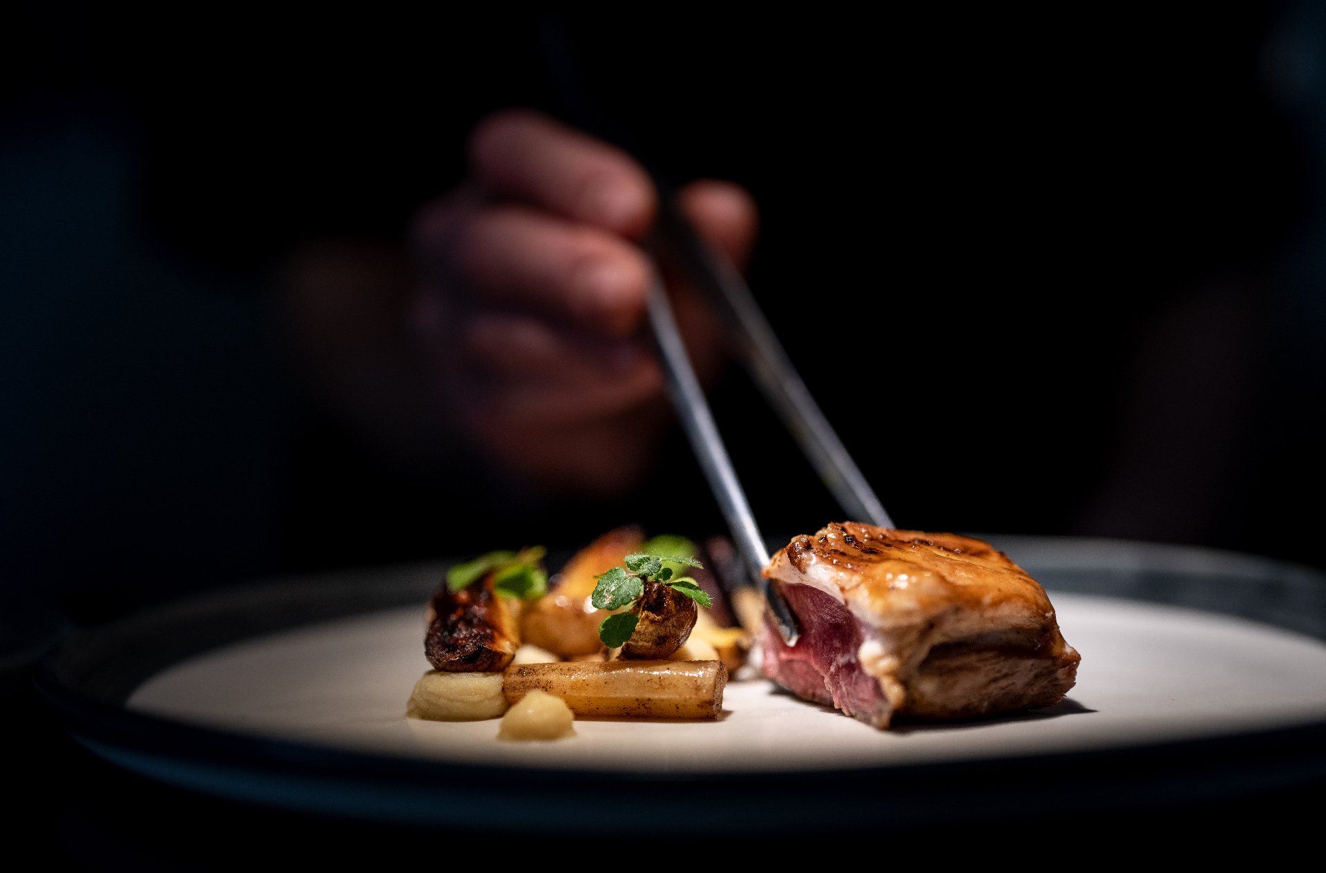 Viande saisie à la pincette, gros plan