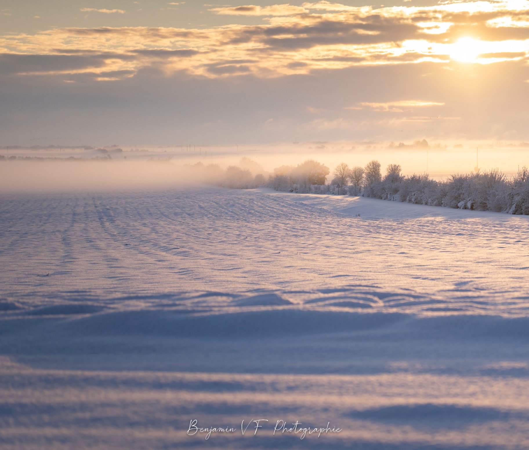 Champ enneigé sous la brume et le soleil levant