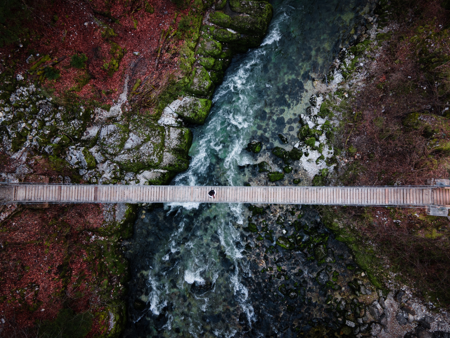 Passerelle au-dessus du torrent turquoise et de la mousse rouge