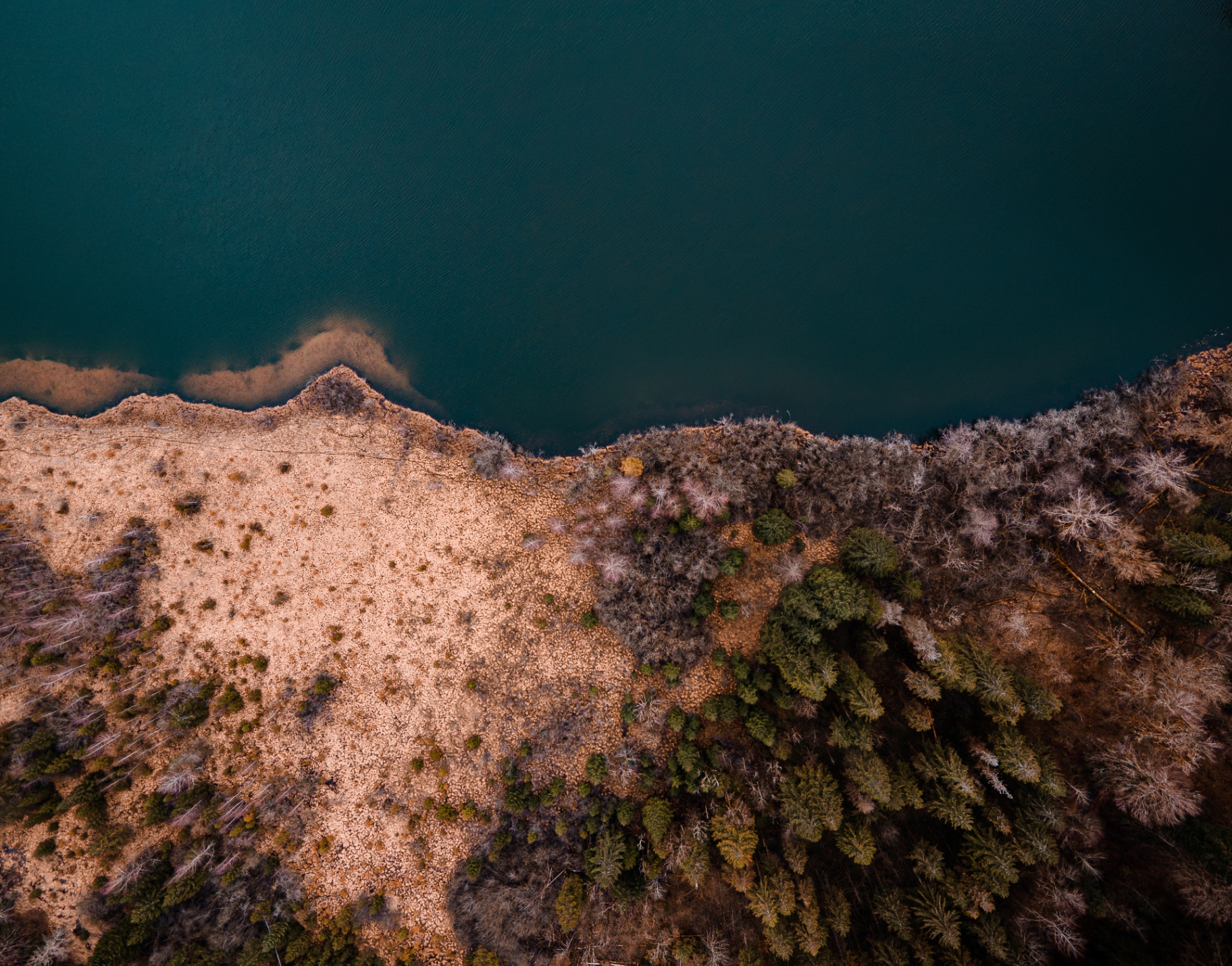 Rive ocre et sylve dénudée, vue verticale du Jura