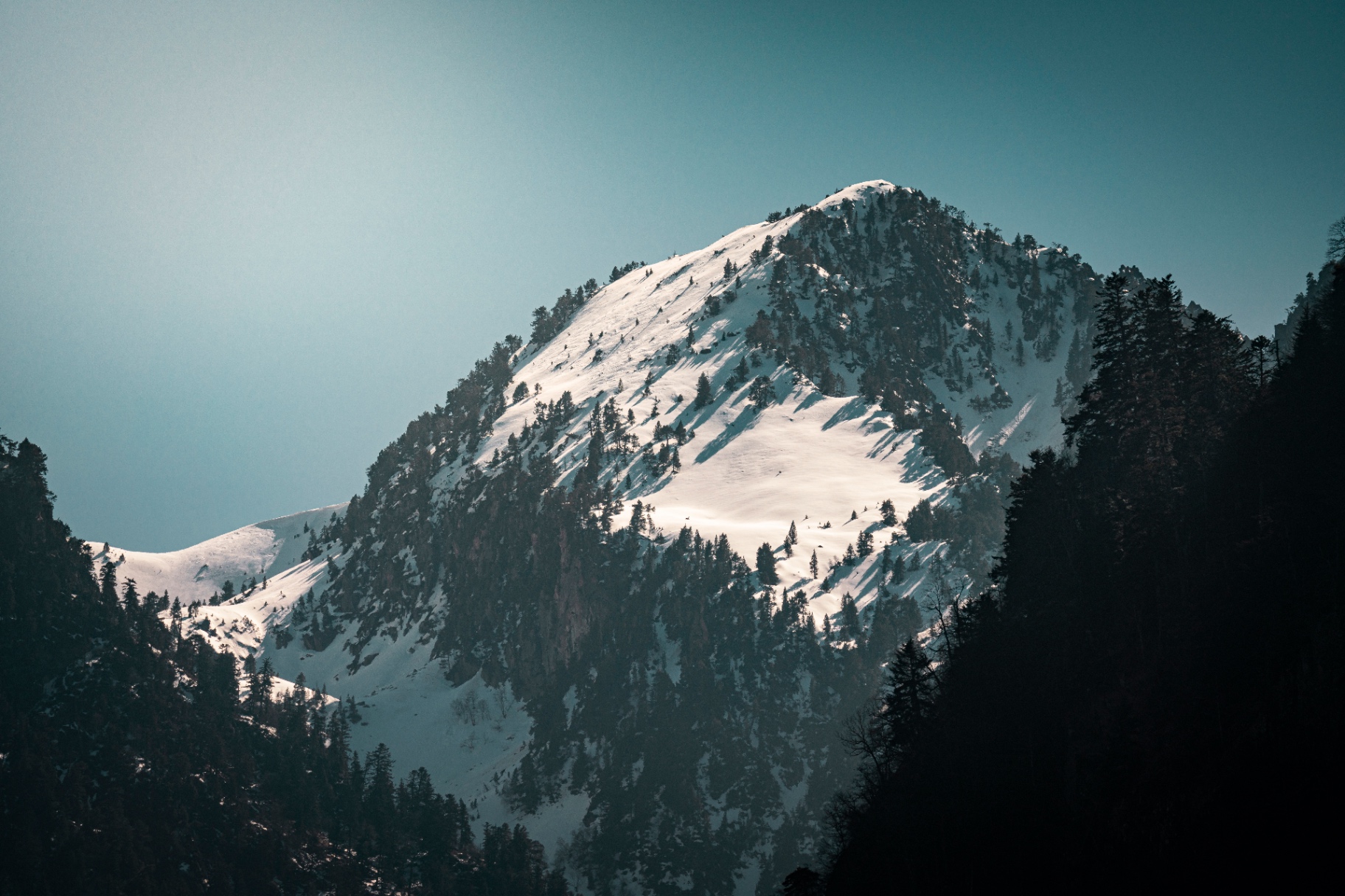 Pic enneigé de la Raillière, forêt en contre-jour