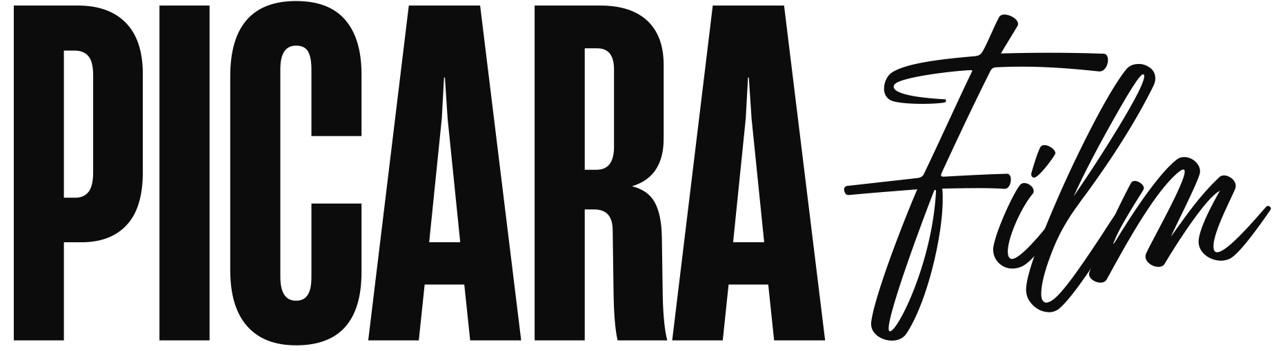 Logo PICARA Film